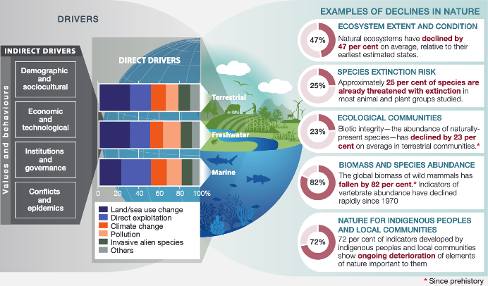 The primary drivers of global biodiversity loss. Credit: IPBES global assessment summary report for policymakers.